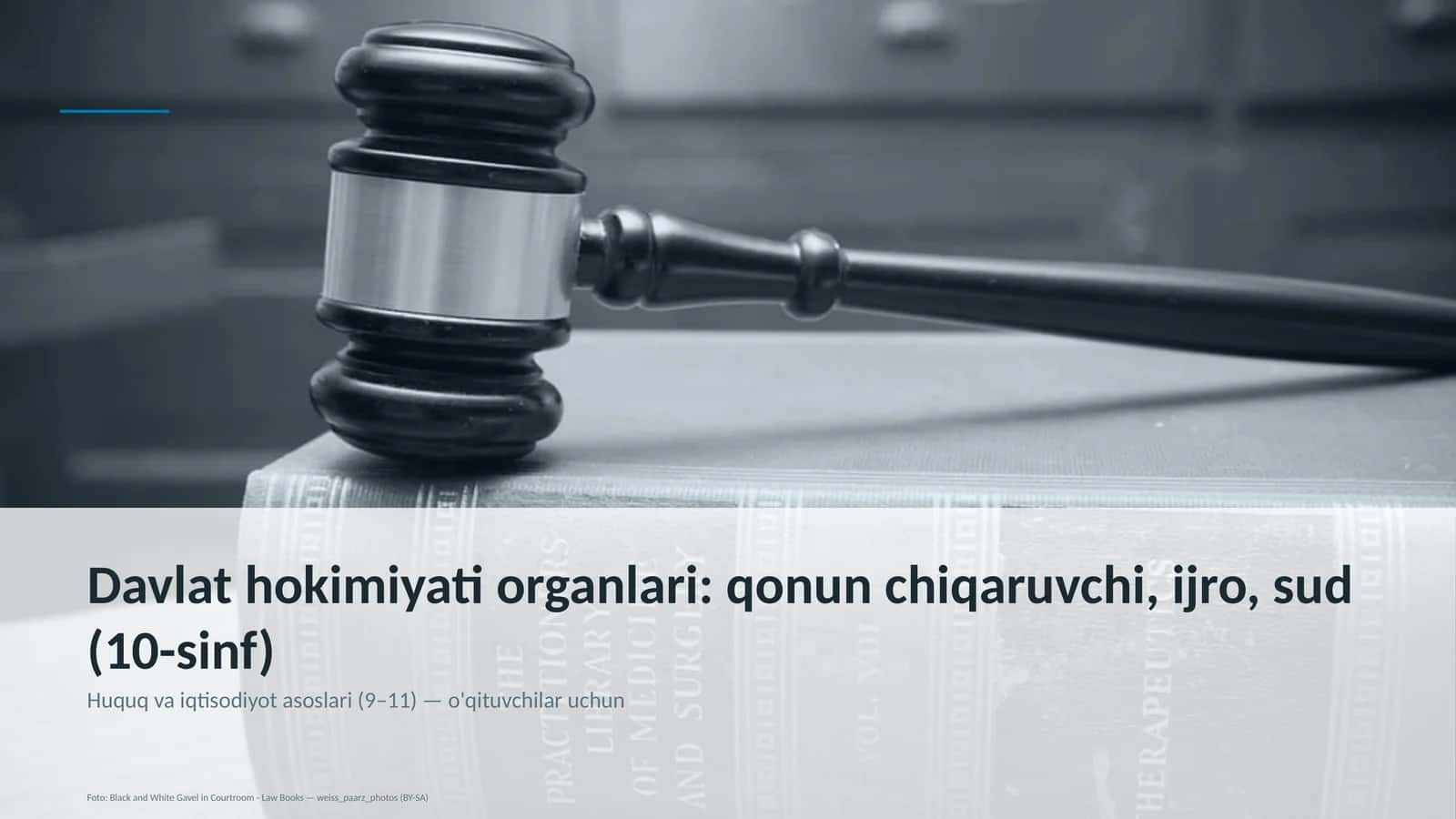 Davlat hokimiyati organlari: qonun chiqaruvchi, ijro, sud (10-sinf) 1