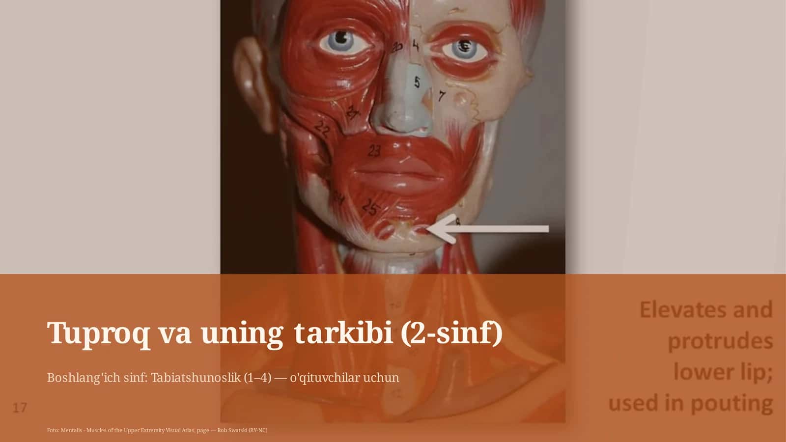 Tuproq va uning tarkibi (2-sinf) 1