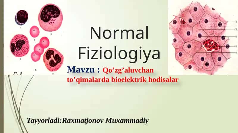 Qozg'aluvchanlik 1