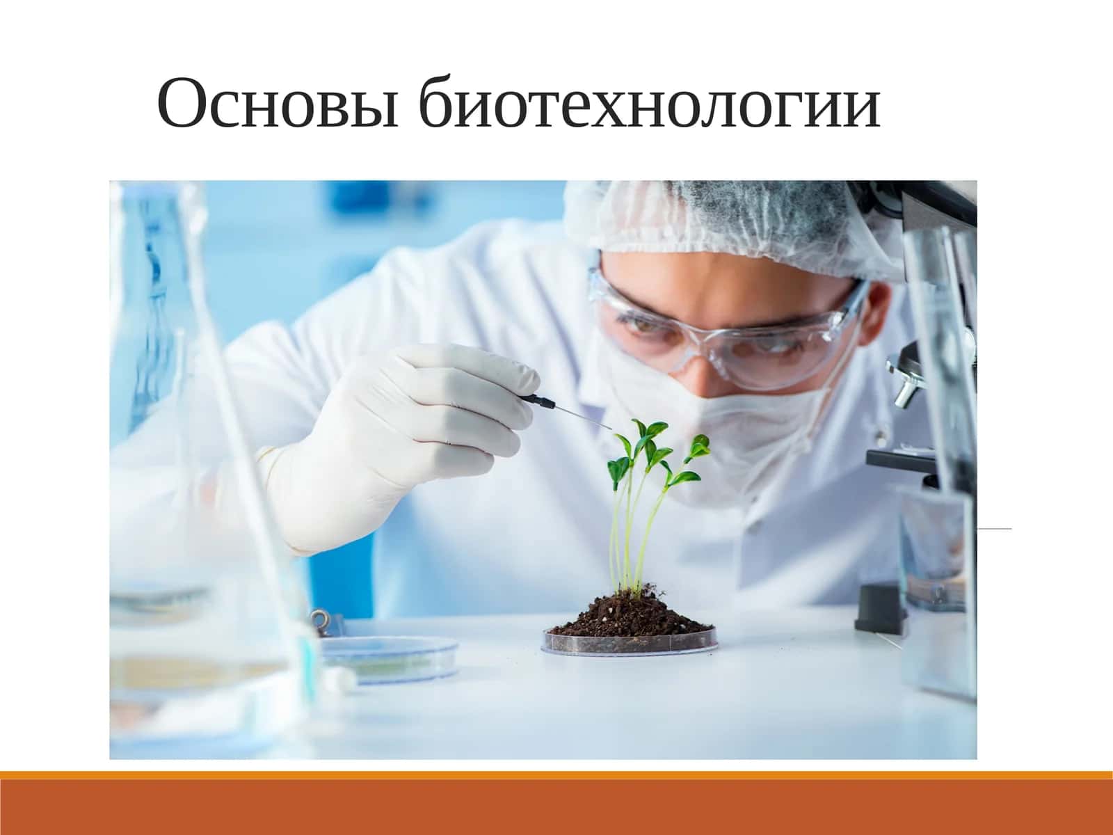 Основы биотехнологии 1
