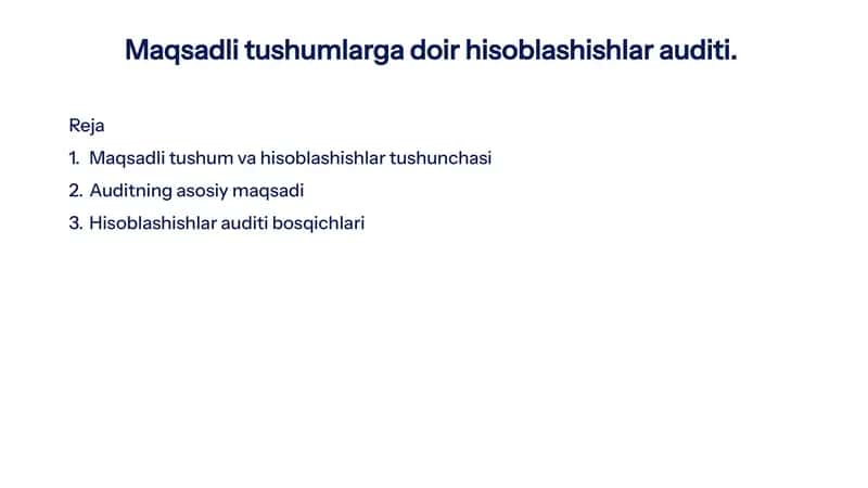 Maqsadli Tushumlar va Hisoblashishlarning Auditiga Doir Reja 1