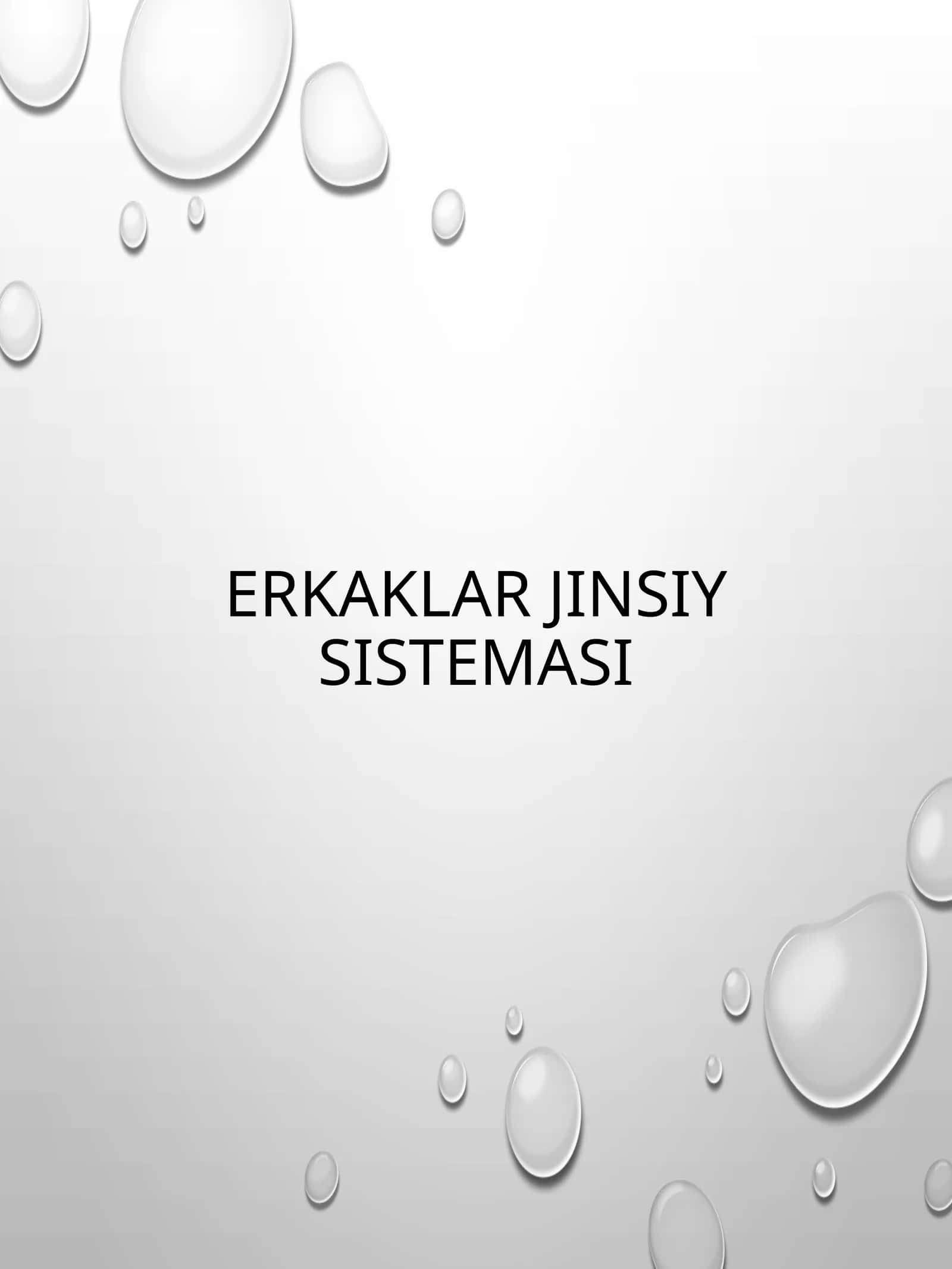 ERKAKLAR JINSIY SISTEMASI 1