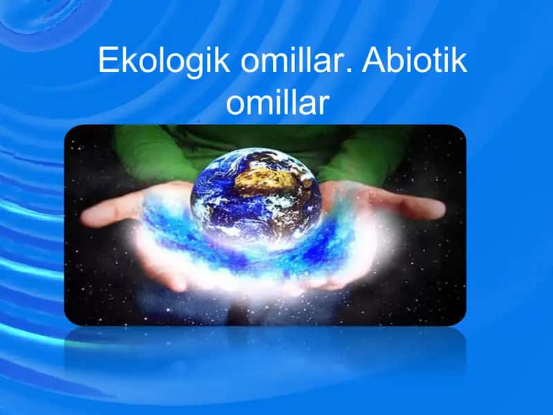 Ekologikomillar.Abiotikomillar 1
