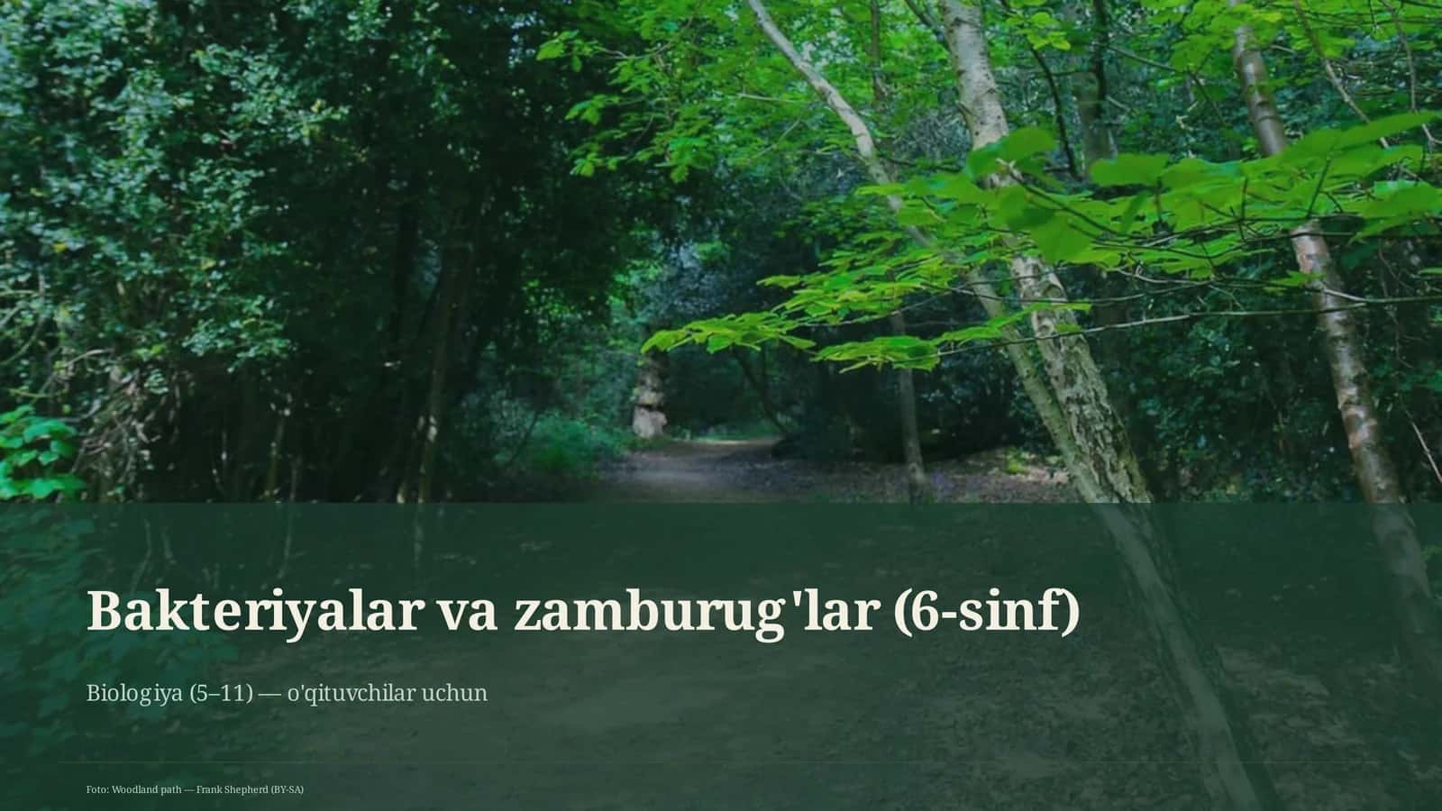 Bakteriyalar va zamburug'lar (6-sinf) 1