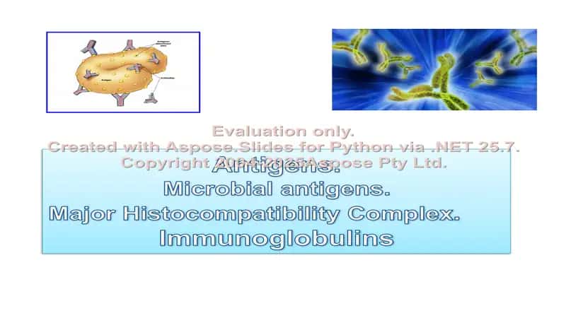 Antigens 1
