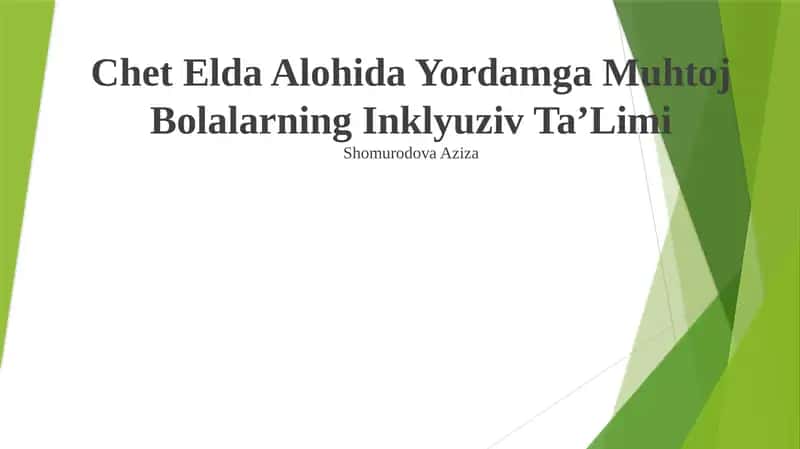 Chet Elda Alohida Yordamga Muhtoj Bolalarning Inklyuziv Ta’Limi 1