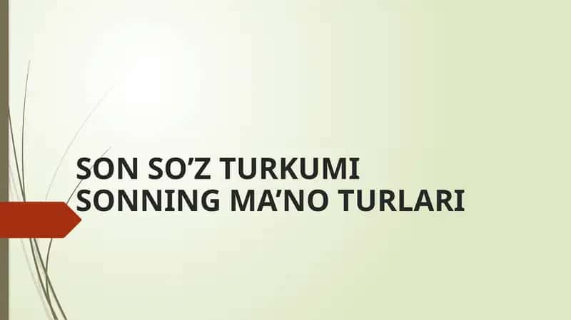 SON SO’Z TURKUMI SONNING MA’NO TURLARI 1