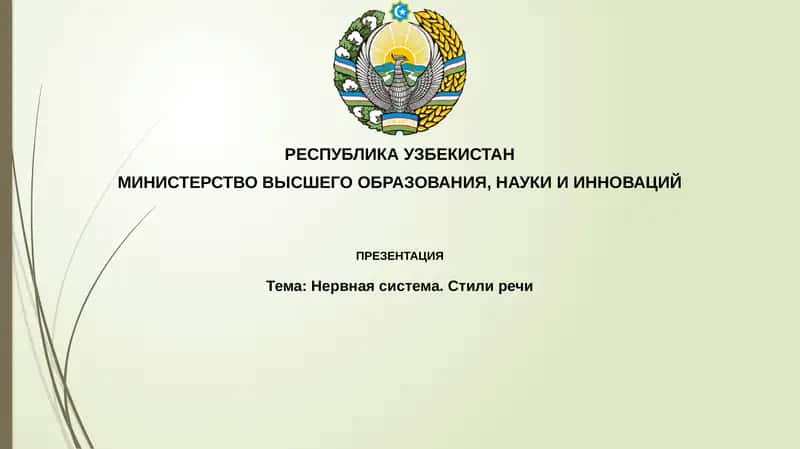 Нервная система. Стили речи 1