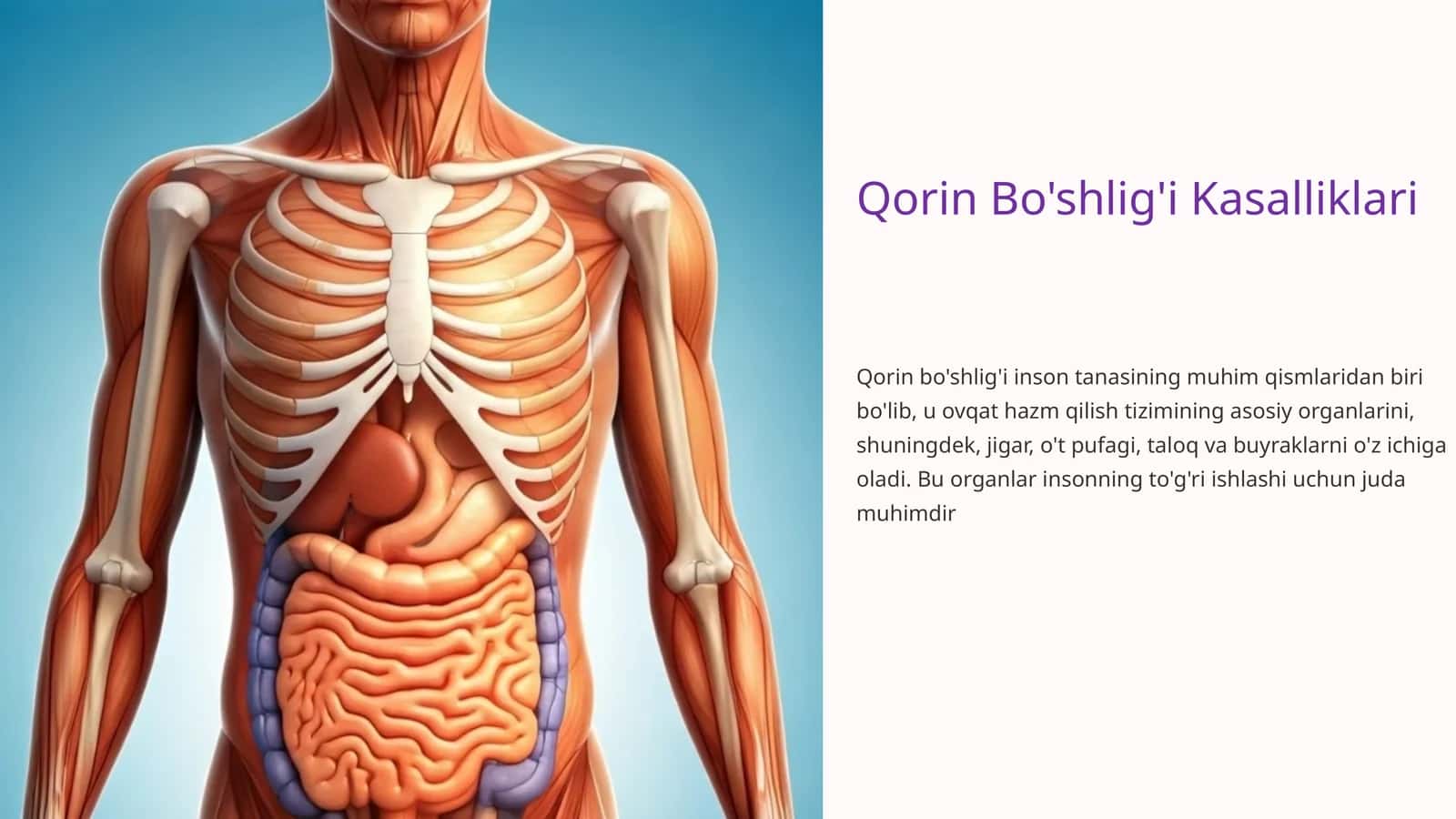 Qorin Bo'shlig'i Kasalliklari 1