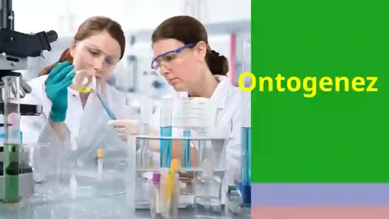 Ontogenez
