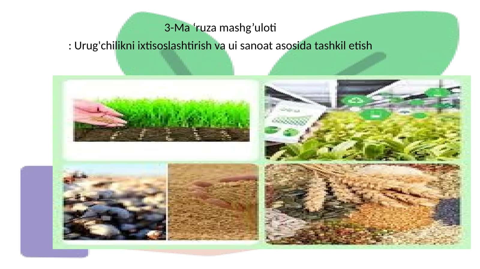 Urug'chilikni ixtisoslashtirish va ui sanoat asosida tashkil etish 1