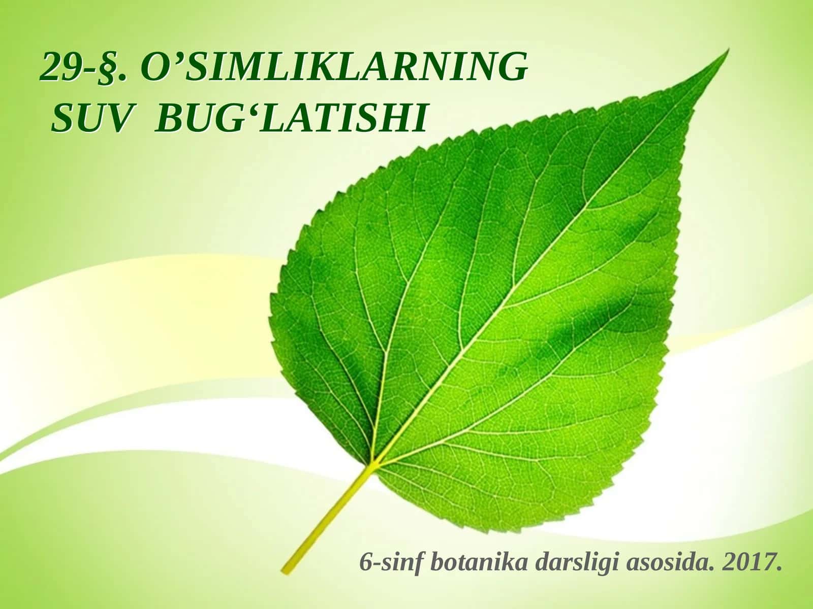 6-sinf Botanika dars ishlanma. O'simliklarning suv bug'latishi 1
