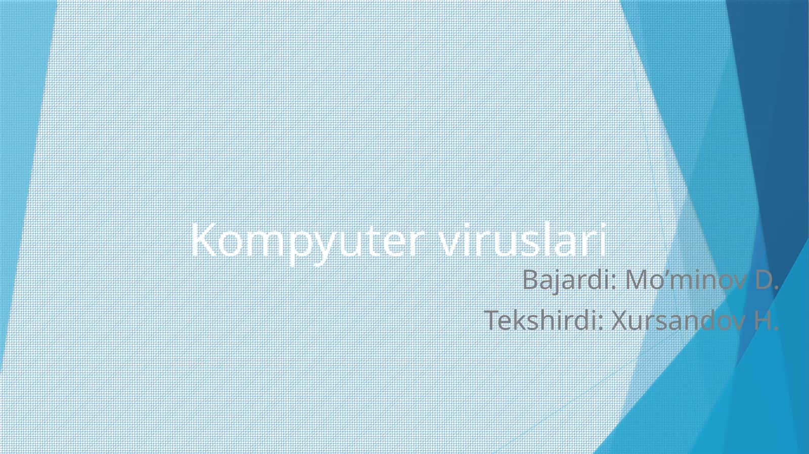 Kompyuter viruslari 1