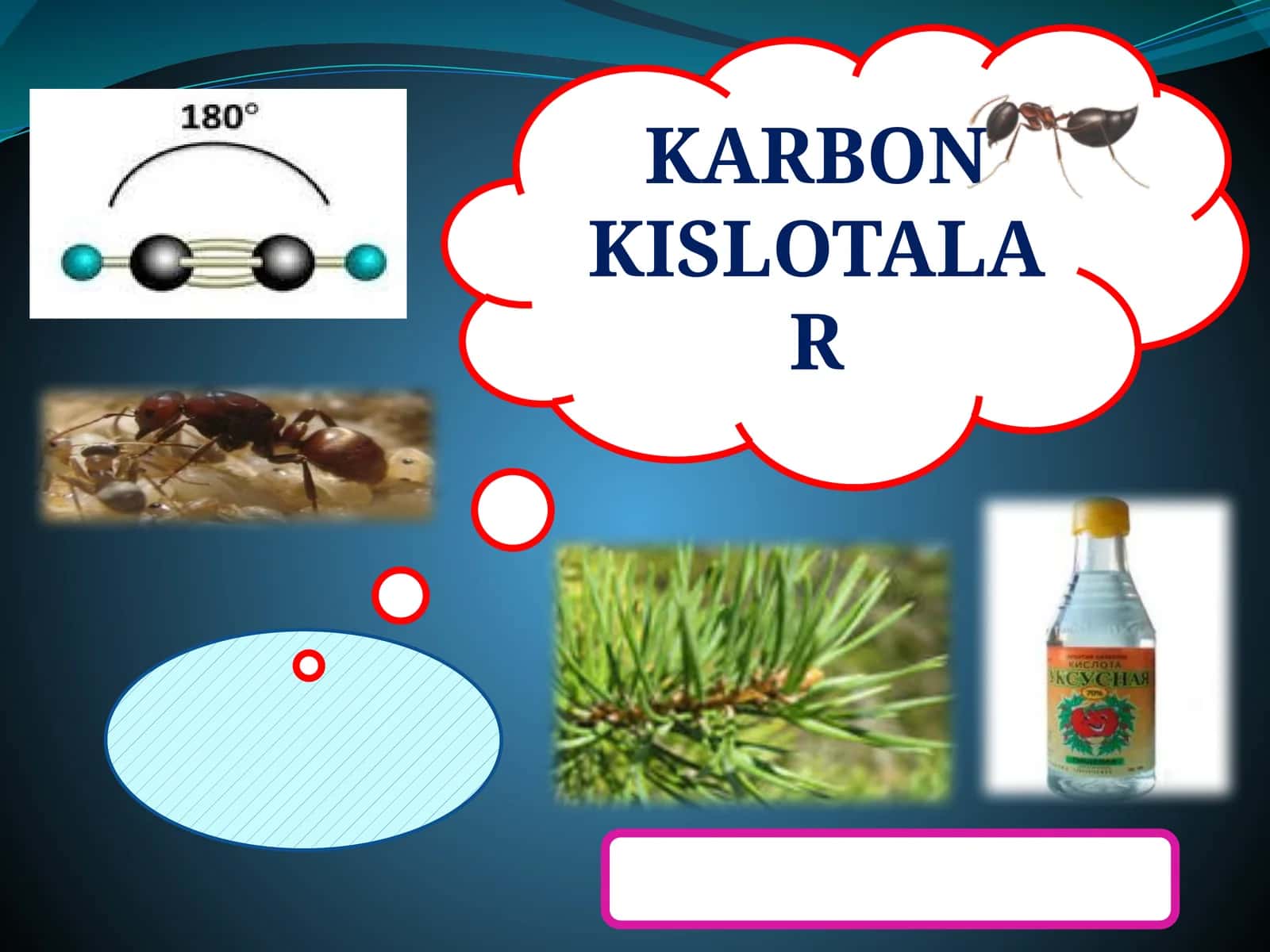 KARBON 1