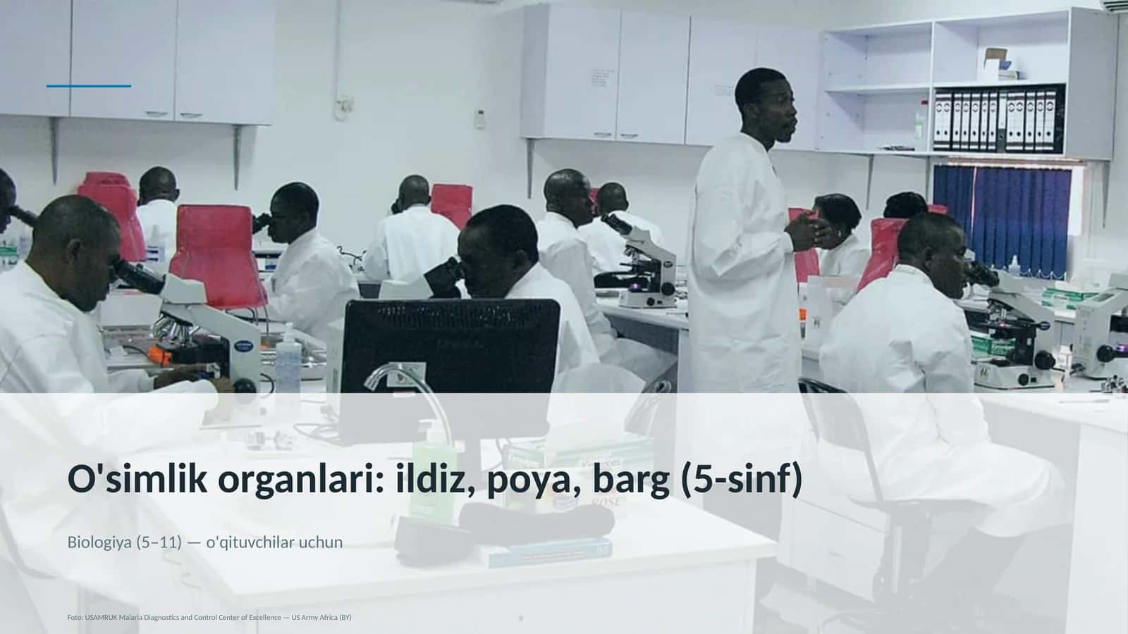 O'simlik organlari: ildiz, poya, barg (5-sinf) 1