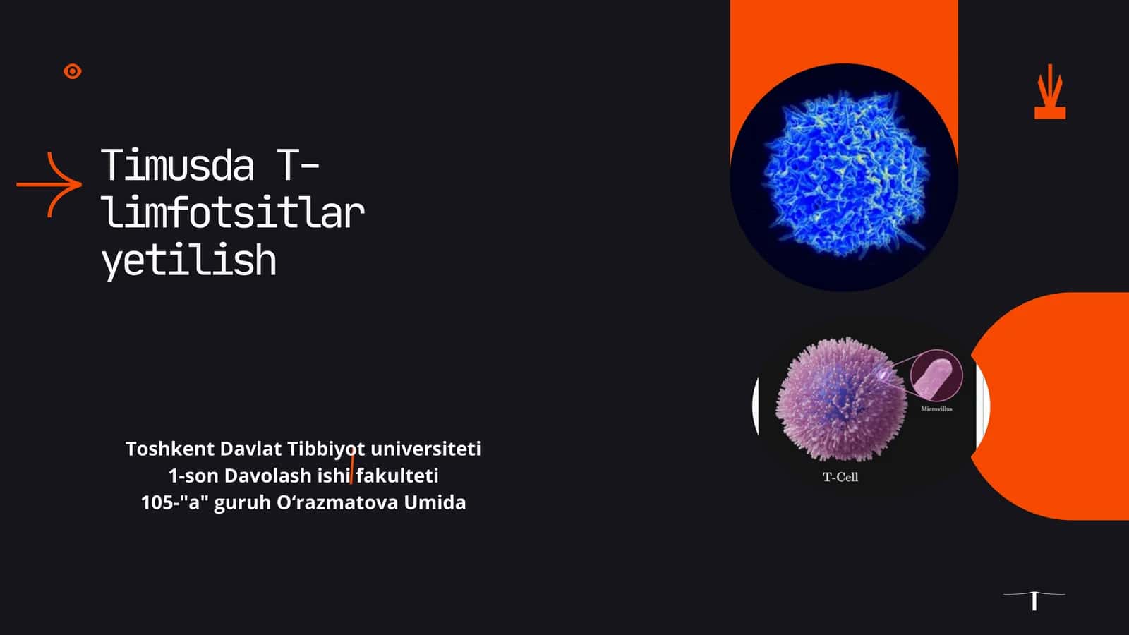 Timusda T-limfotsitlar yetilish 1