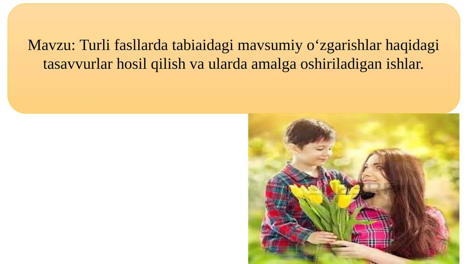 Turli fasllardatabiatdagimavsumiy o‘zgarishlar haqidagi tasavvurlar 1