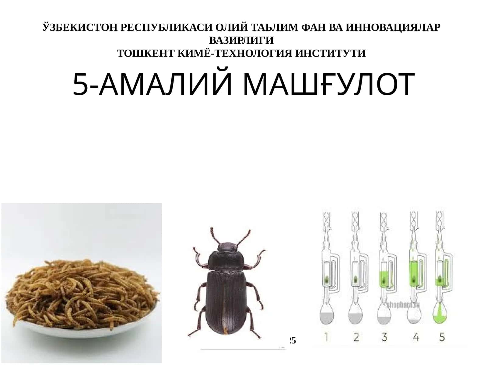 5-АМАЛИЙ МАШҒУЛОТ 1