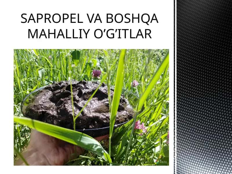 SAPROPEL VA BOSHQA MAHALLIY O’G’ITLAR 1
