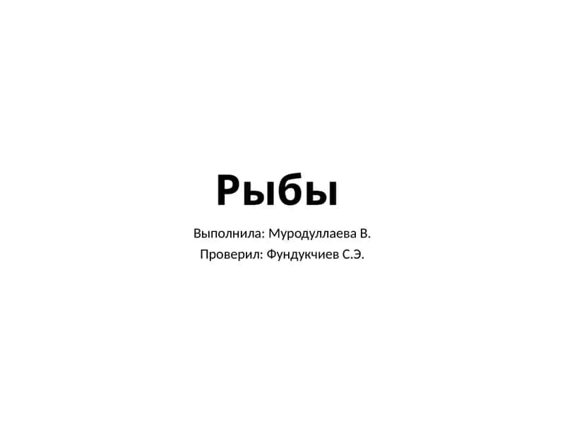 Рыбы 1
