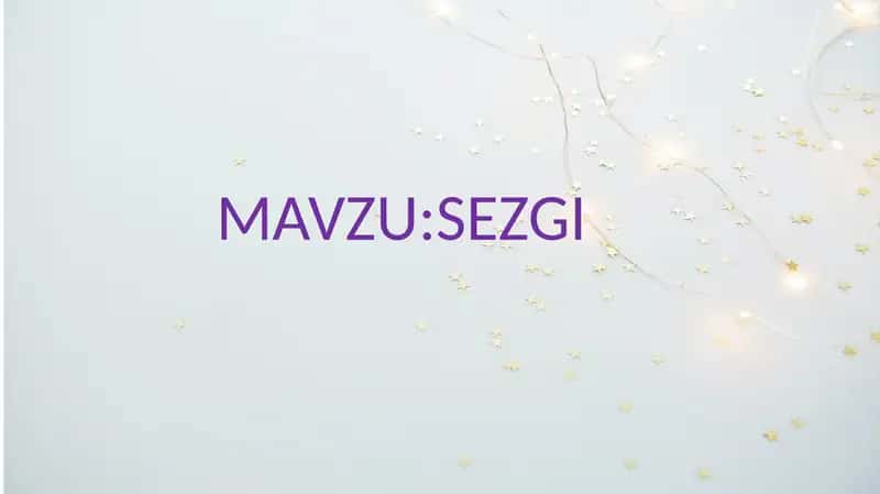 SEZGI 1