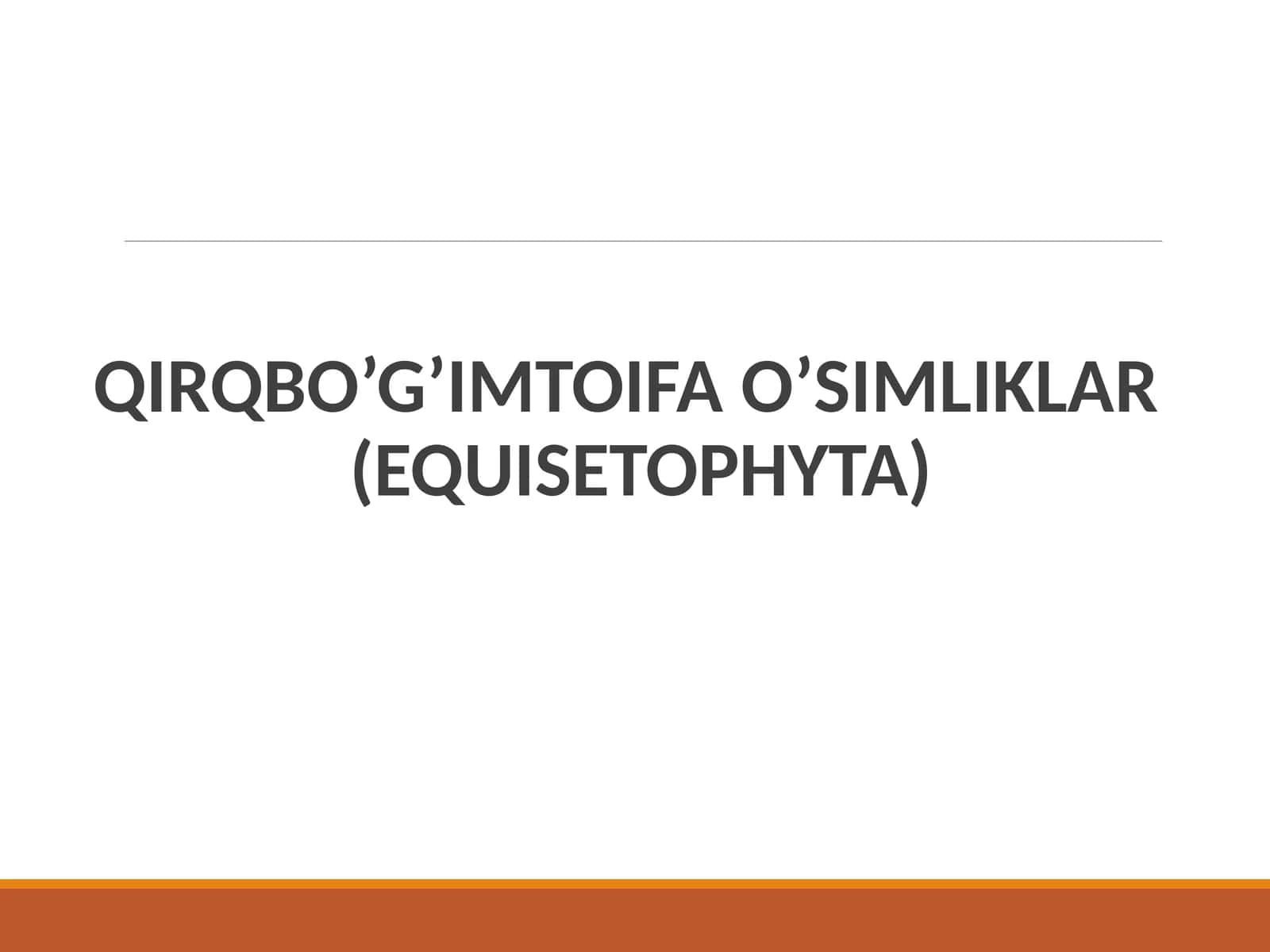 Qirq  bo’g’im  toifa  o’simliklar  (EQUISETOPHYTA) 1