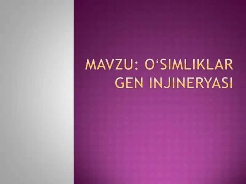 O‘simlik hujayrasi 1