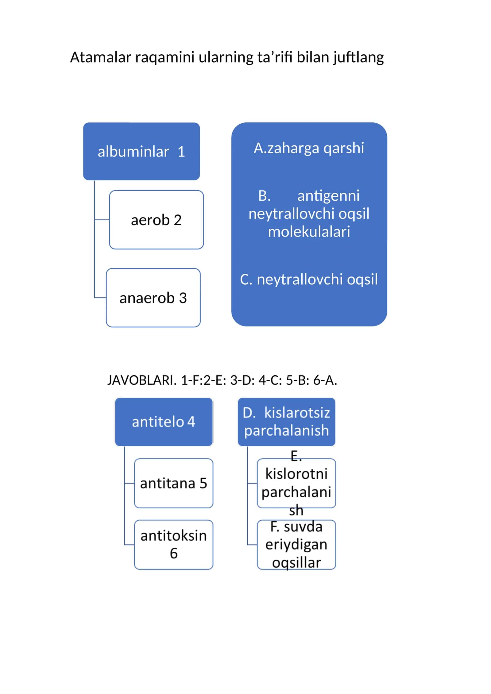 Atamalar raqamini 1