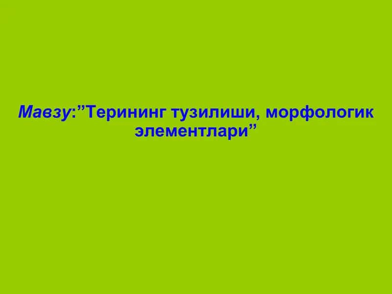Терининг замбуруғкасалликлари-микозлар 1