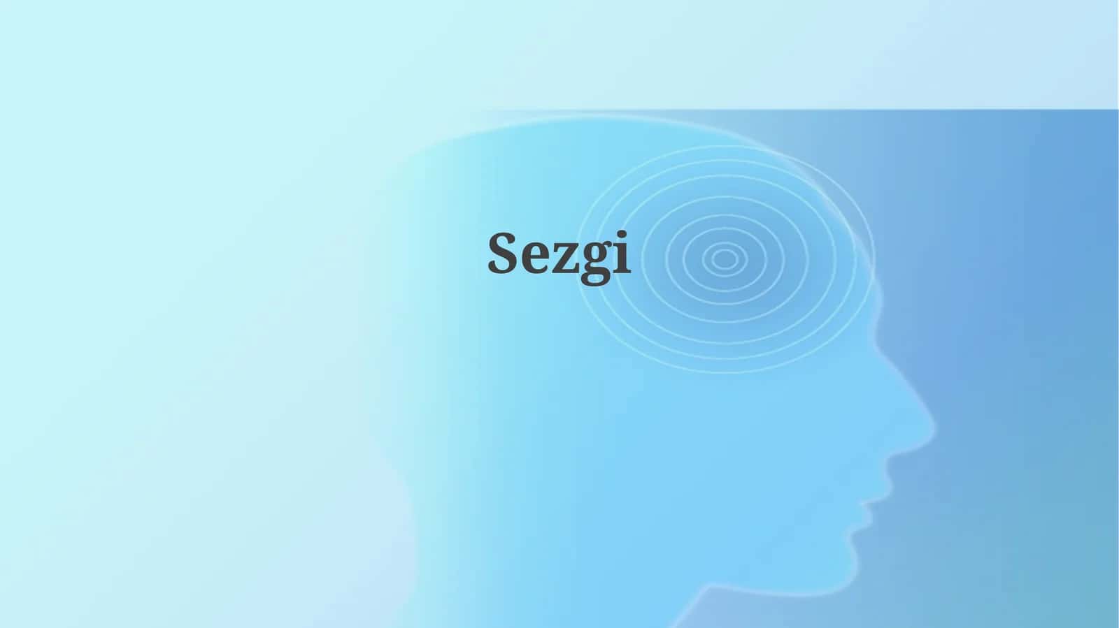 Sezgi 1