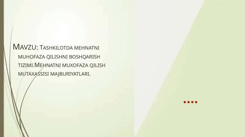 Mehnatni muhofaza qilishni boshqarish tizimi 1