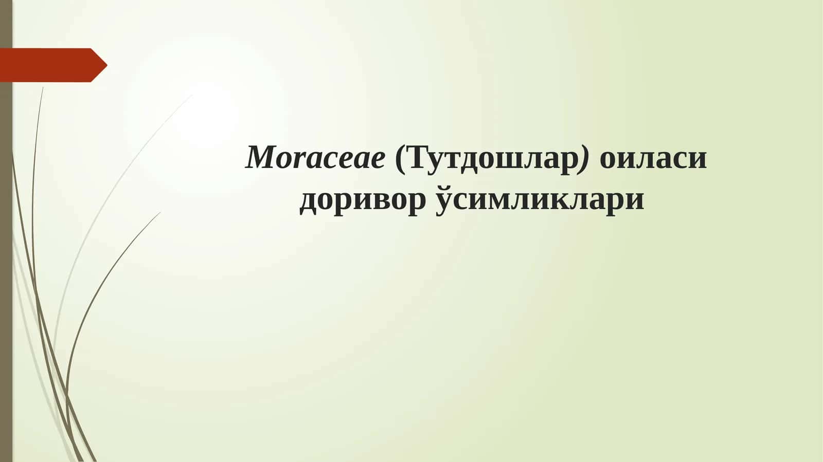 Тутдошлар оиласи доривор ўсимликлари 1