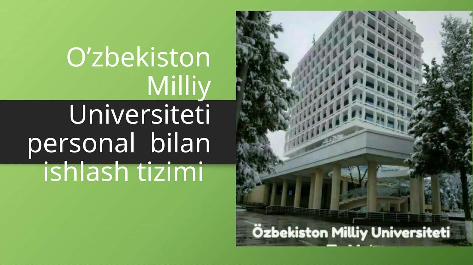 O’zbekiston Milliy Universiteti Personal Bilan Ishlash Tizimi 1