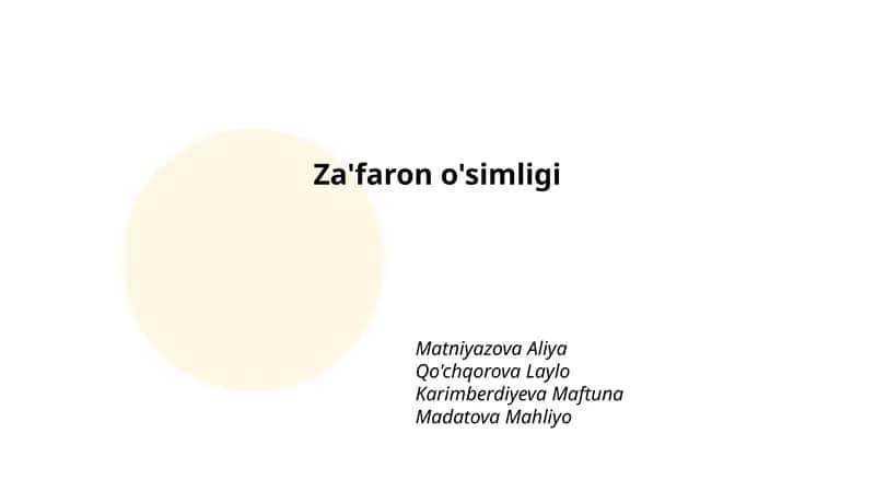 Za'faron o'simligi 1
