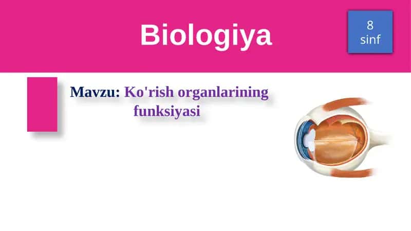 Ko'rish organlarining funksiyasi 1