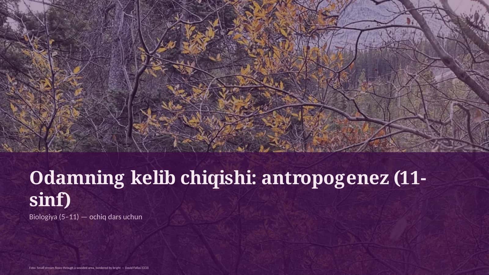 Odamning kelib chiqishi: antropogenez (11-sinf) 1