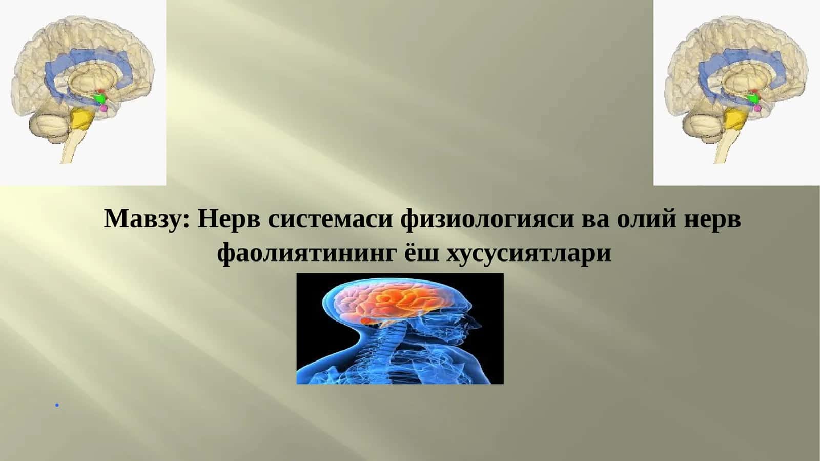 Нерв системаси физиологияси ва олий нерв фаолиятининг ёш хусусиятлари 1