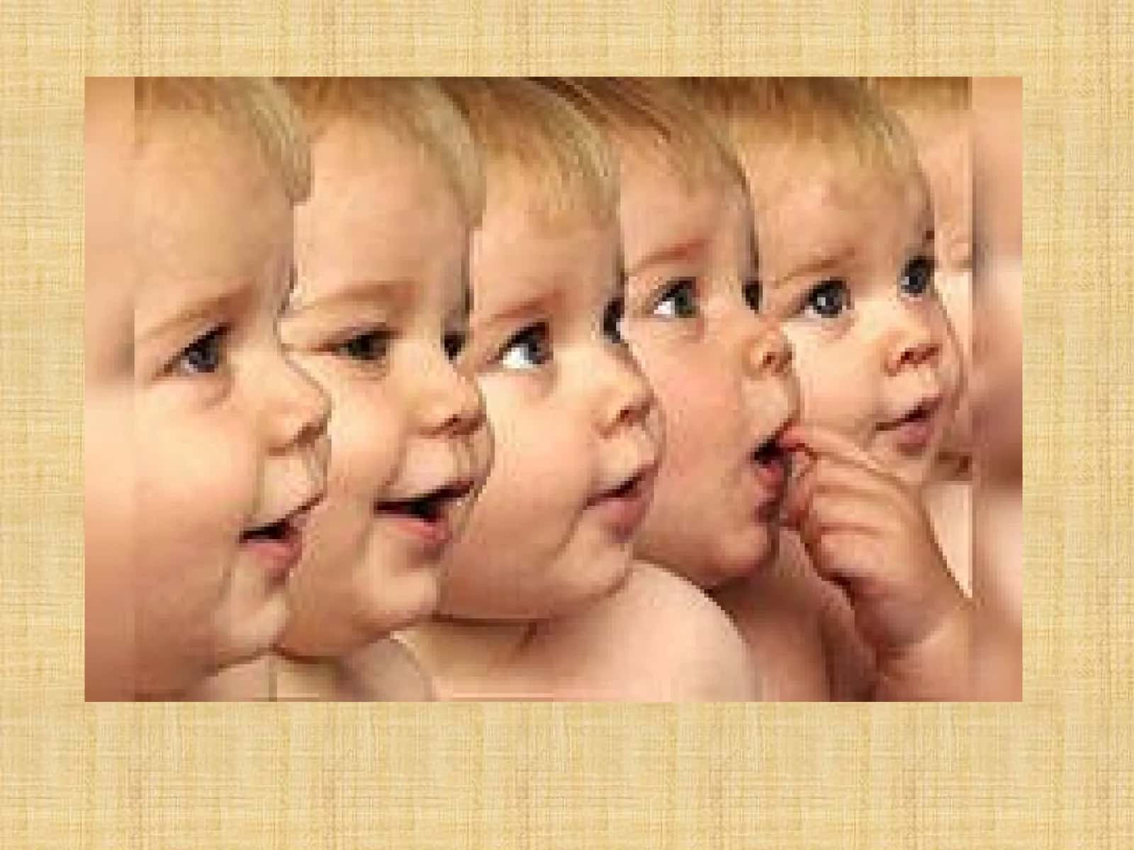 Cloning and DNA Discussion Questions 1