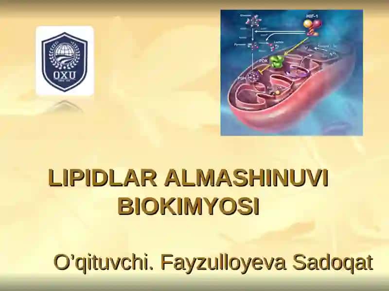 LIPIDLAR ALMASHINUVI BIOKIMYOSI 1
