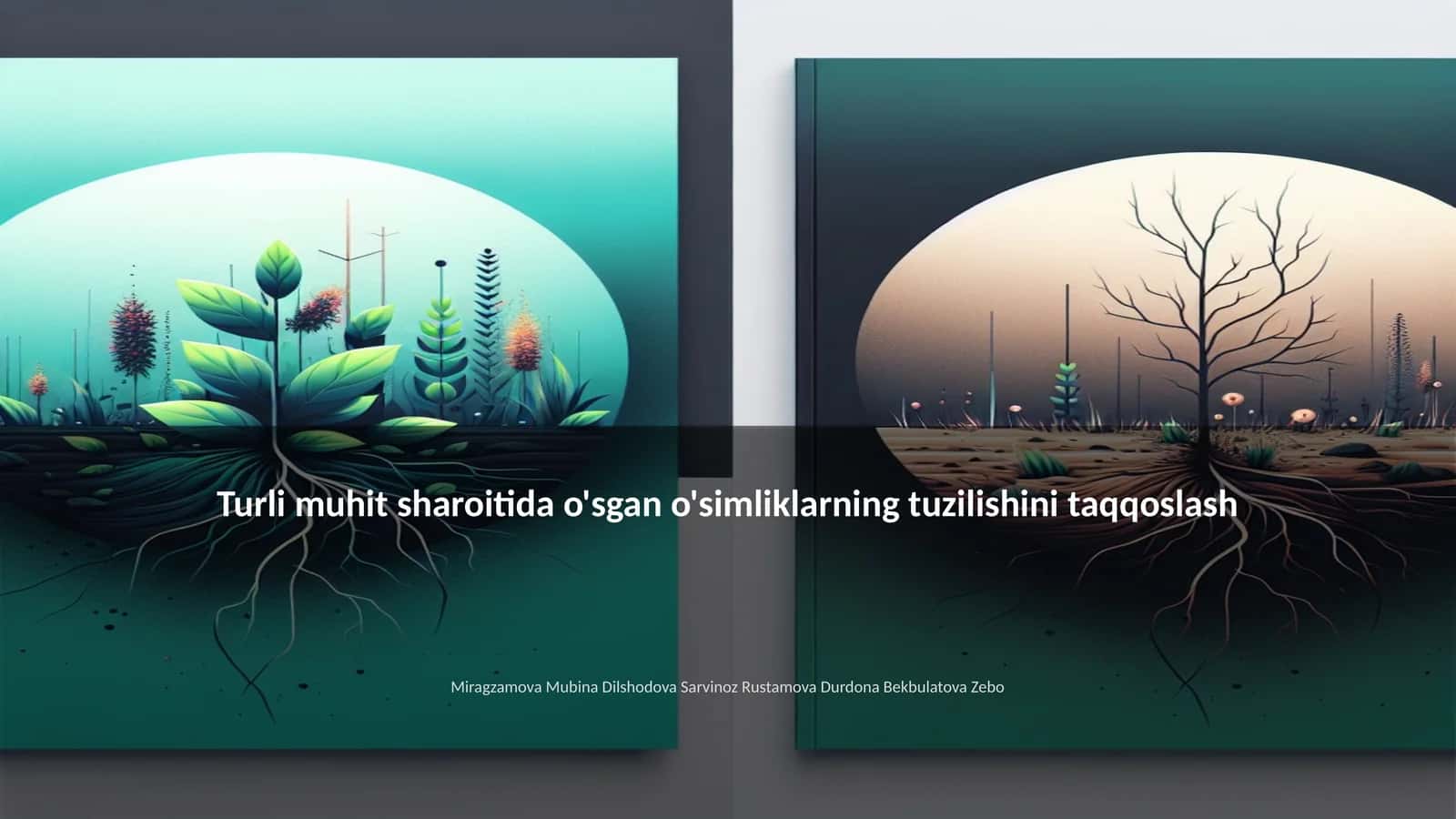 Turli muhit sharoitida o'sgan o'simliklarning tuzilishini taqqoslash 1