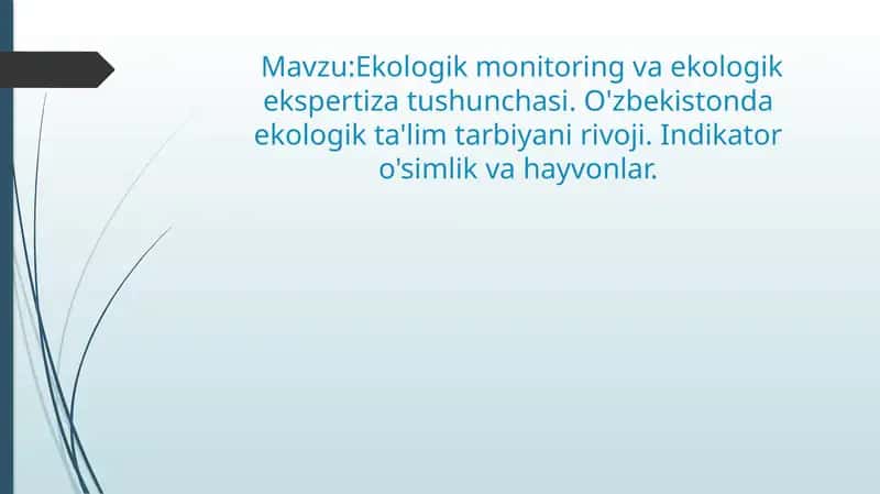Ekologik monitoring va ekologik ekspertiza 1