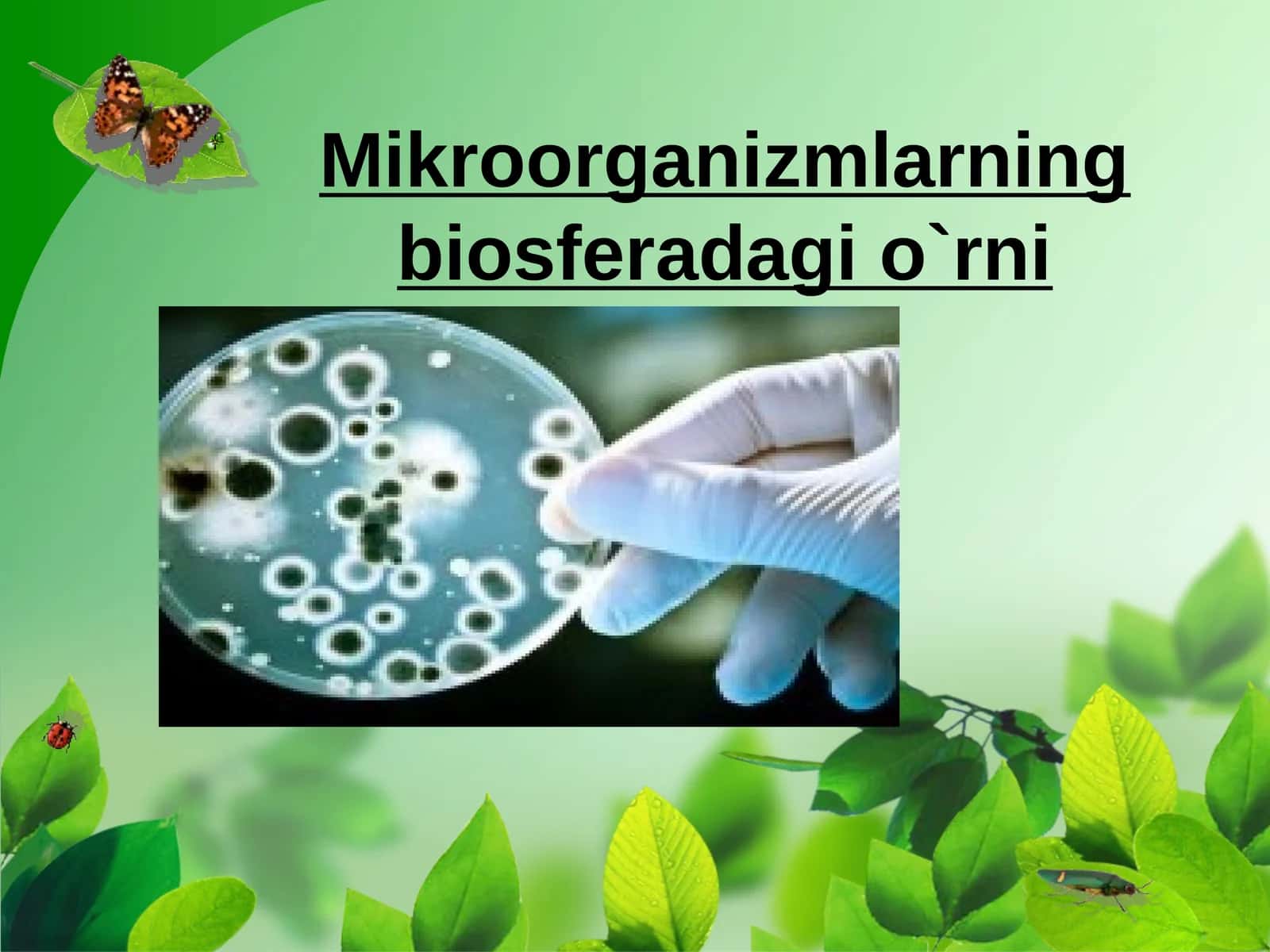 Mikroorganizmlarning biosferada gi`rni 1
