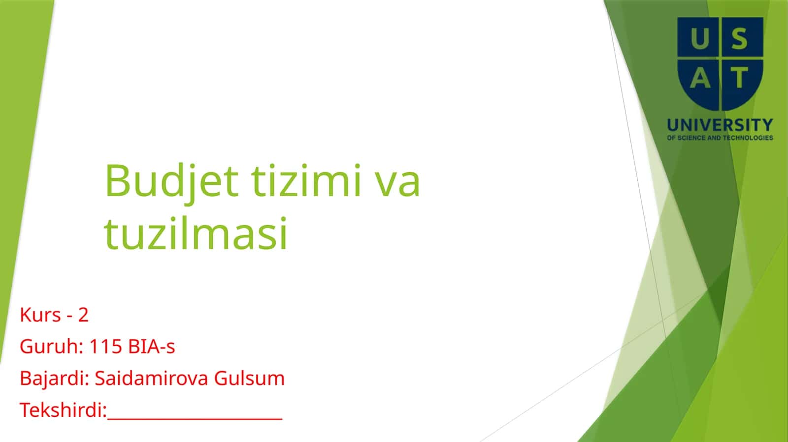 Budjettizimivatuzilmasi 1