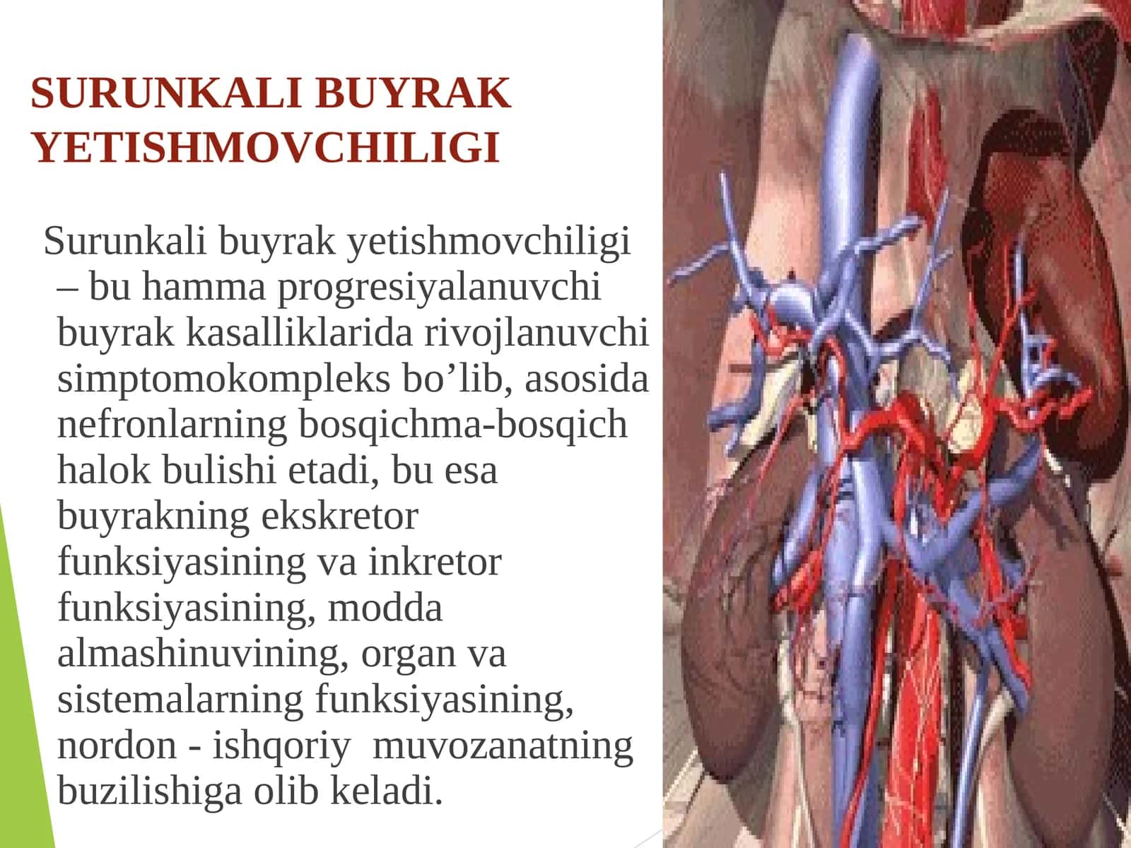 SURUNKALI BUYRAKYETISHMOVCHILIGI 1