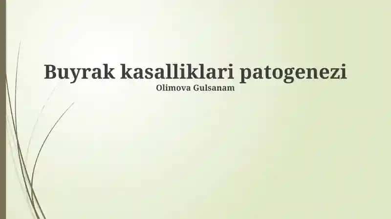 Buyrak kasalliklari patogenezi