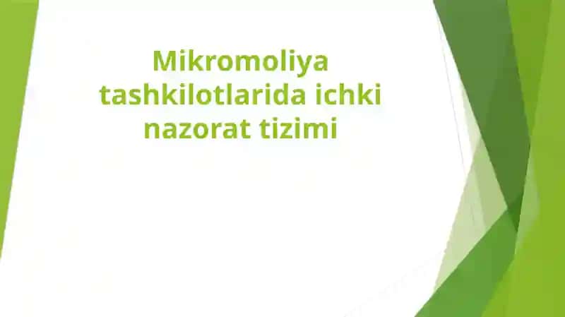 Mikromoliya tashkilotlarida ichki nazorat tizimi
