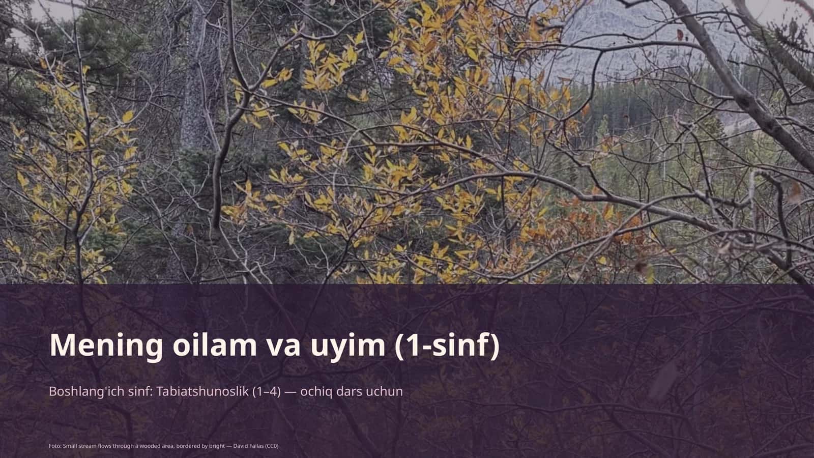 Mening oilam va uyim (1-sinf) 1
