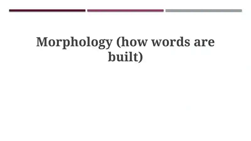 Fundamentals of Morphology