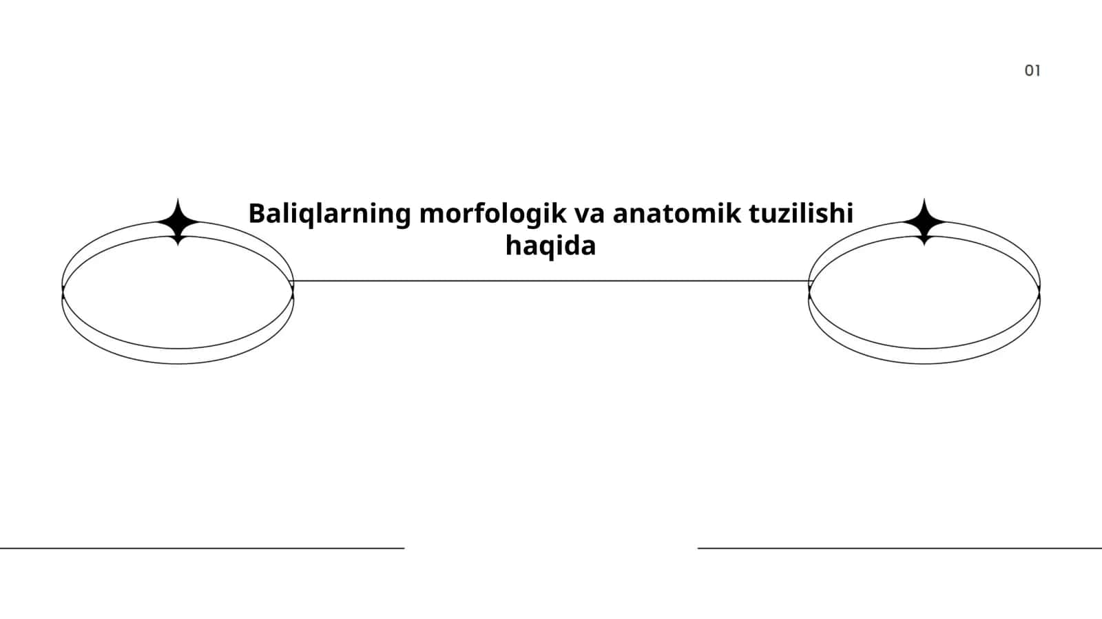 Baliqlarning morfologik va anatomik tuzilishi haqida 1