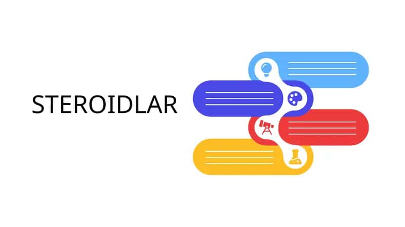 STEROIDLAR 1